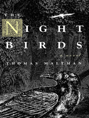 The Night Birds - ebook
